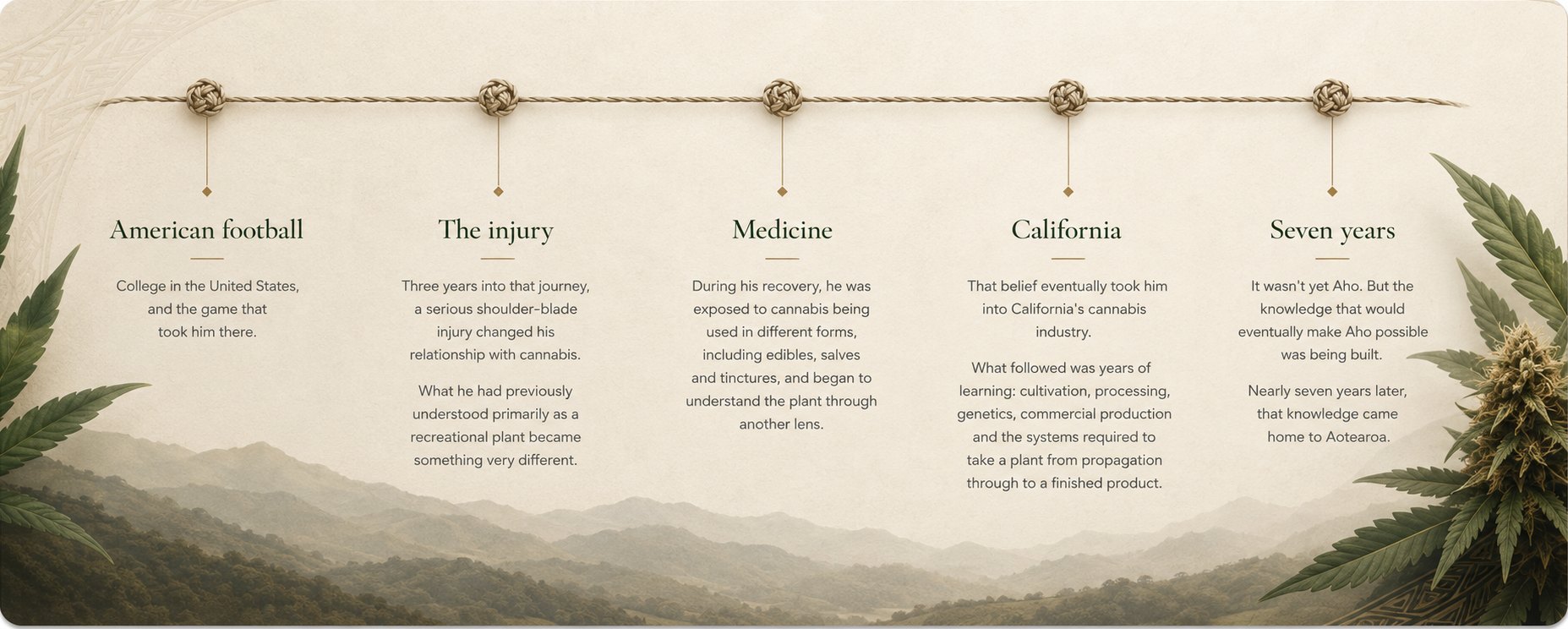 Timeline of the journey before Aho: American football, the injury, medicine, California, seven years — five knots along a single cord above the Hawke's Bay hills
