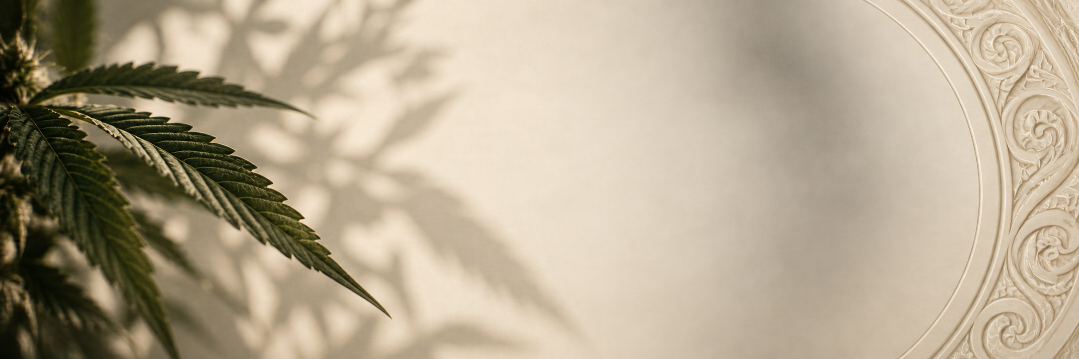 A cannabis leaf casting its shadow across a pale wall beside carved whakairo