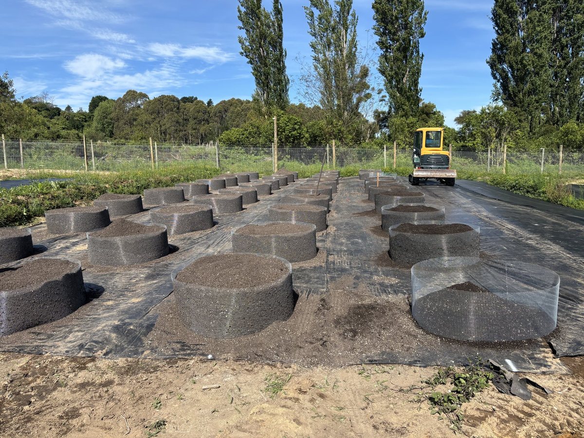 Rows of grow pots being filled with soil at Māra, a digger behind them and poplars beyond