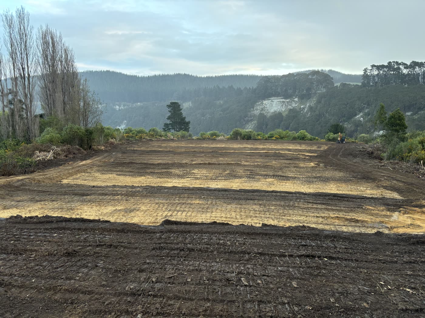 The levelled cultivation pad above the valley, ready for development